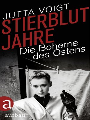cover image of Stierblutjahre